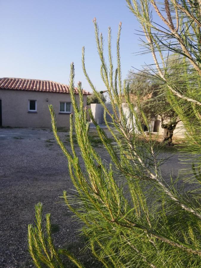 Maison Du Causse Magalas Eksteriør bilde